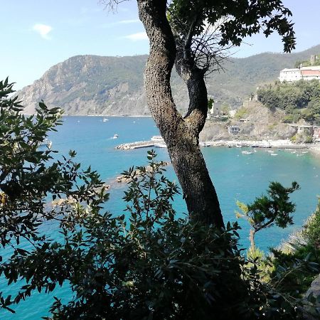 Nel Cuore Di Monterosso Cinque Terre Orto Di Ciack Monterosso al Mare Exterior photo