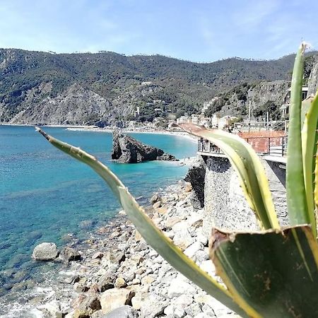 Nel Cuore Di Monterosso Cinque Terre Orto Di Ciack Monterosso al Mare Exterior photo