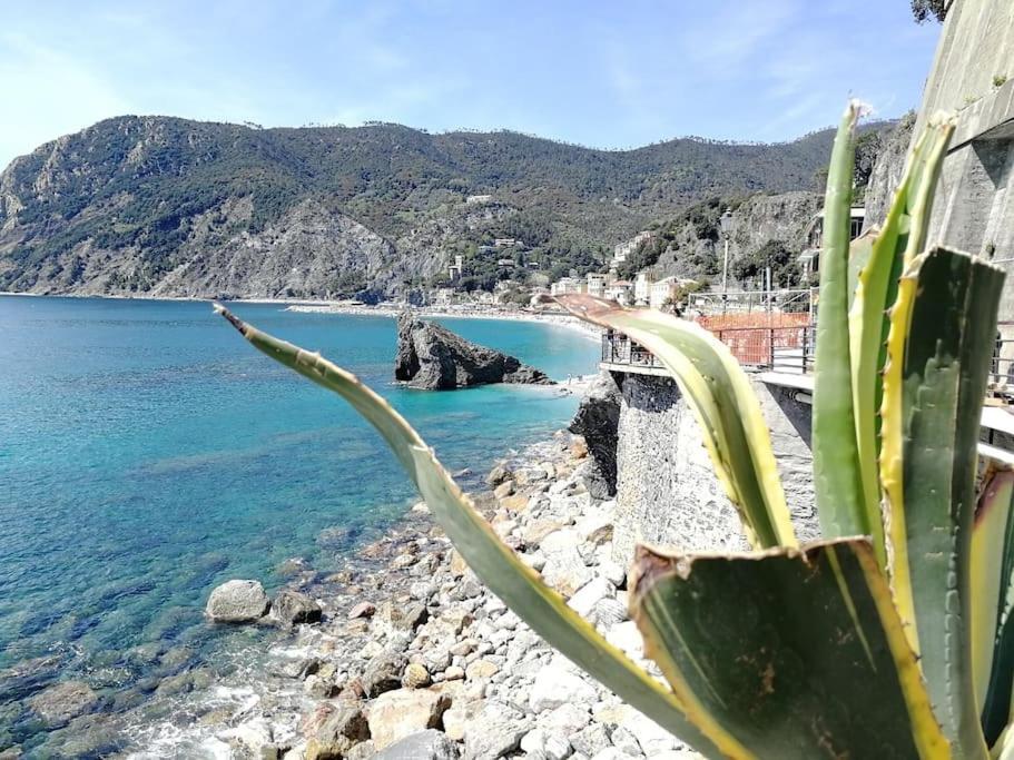 Nel Cuore Di Monterosso Cinque Terre Orto Di Ciack Monterosso al Mare Exterior photo